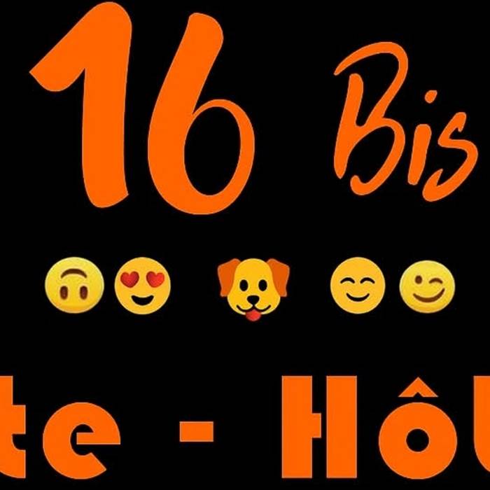 16 Bis gite hotel acceptant les chiens