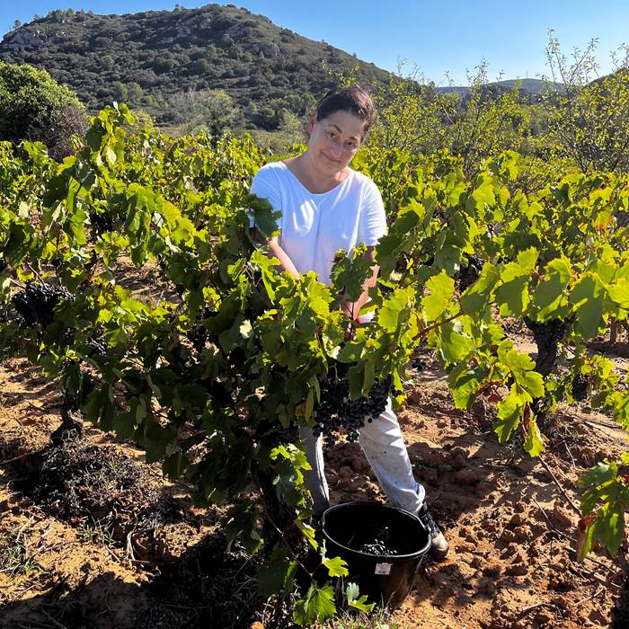 Petite pose dans les carignans-photo-news