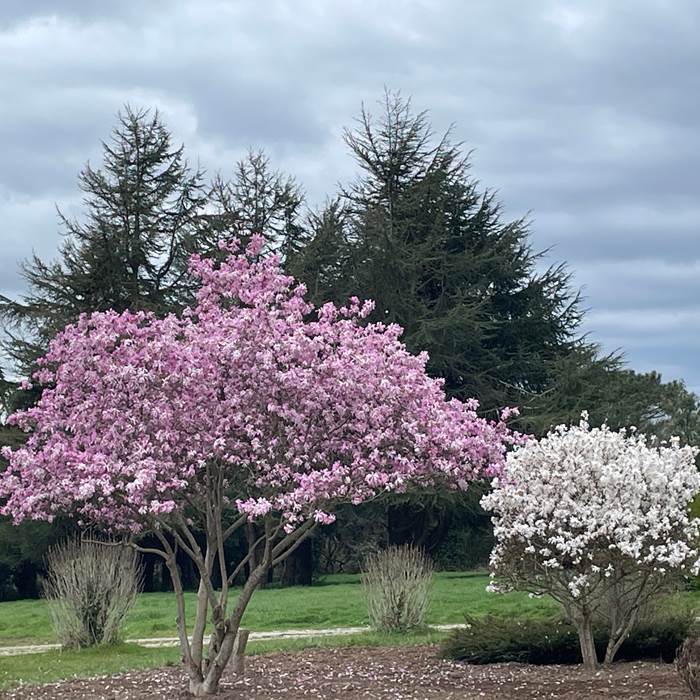 Sans titre-photo-news