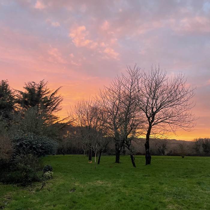 Sans titre-photo-news