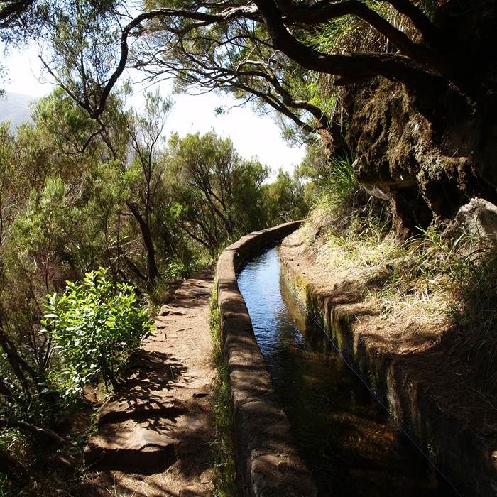 LEVADA
