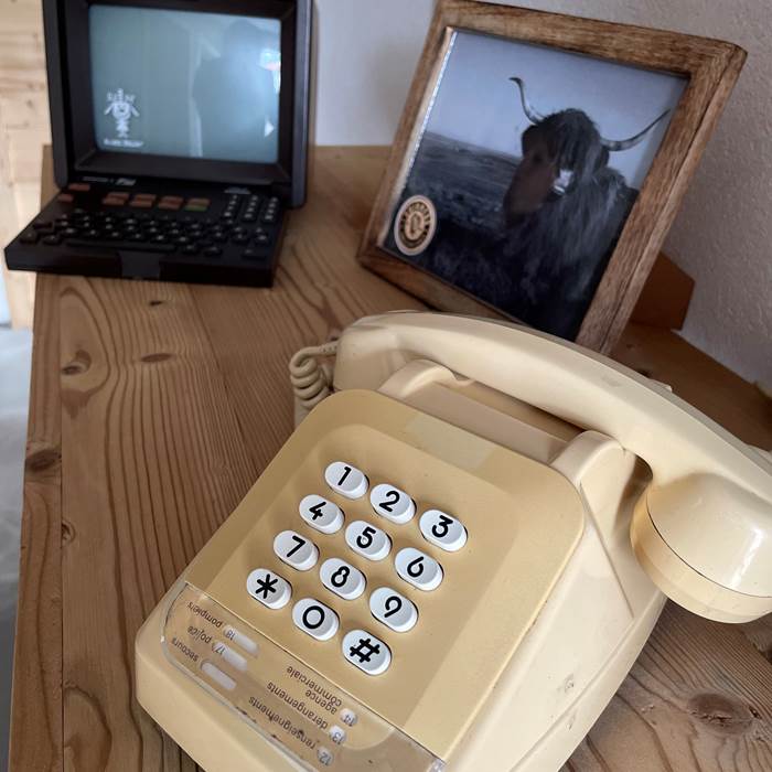 Le rockin70_Gîte Mountain_Déconnexion nature Vosges_Séjour nature Gérardmer_Gîte 8 personnes Vosges_Chalet forêt (19)