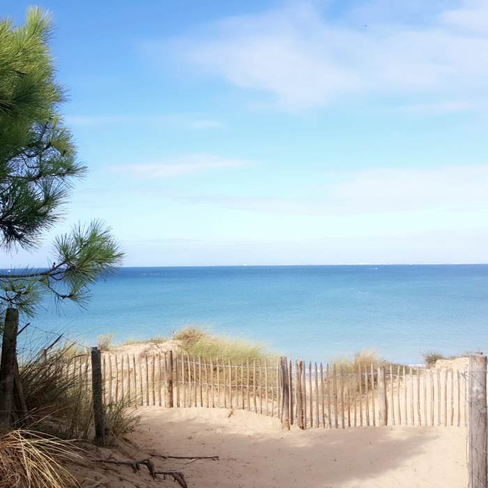 Forêt de La Coubre - La Palmyre