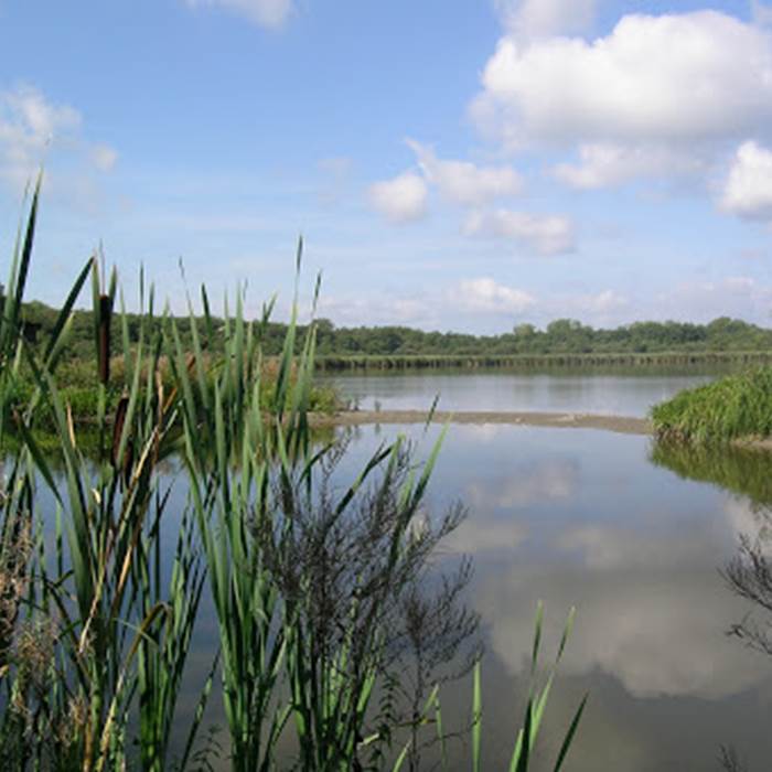 Lac de Virelles - Crédit : Wikipedia, Virelles Nature