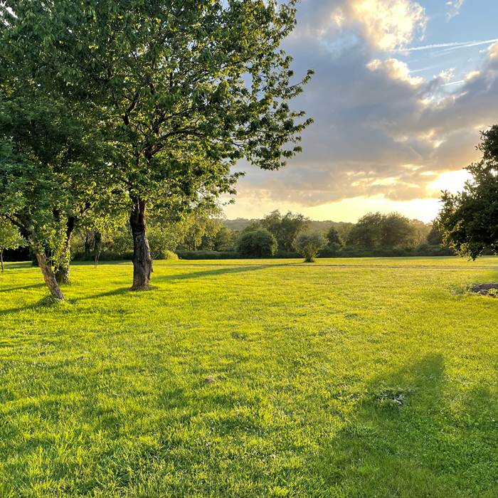 Grand parc pour jouer, courir-photo-news