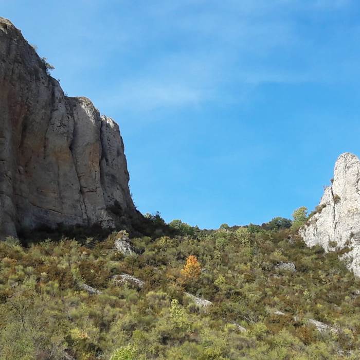 PHOTO-2024-05-16-14-09-20 3