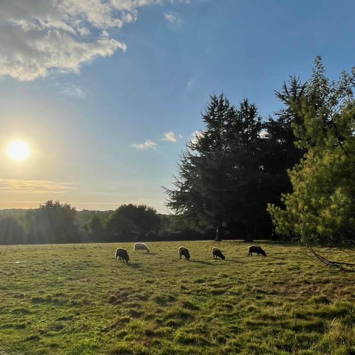 Sans titre-photo-news