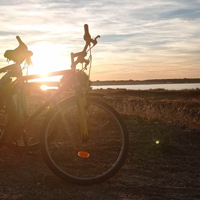 Balade à vélo île de Ré