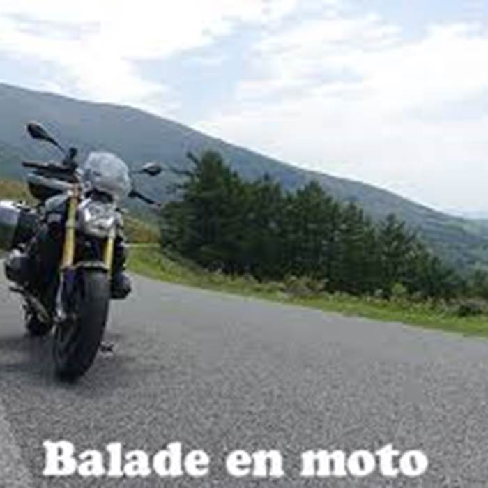 Sans titre