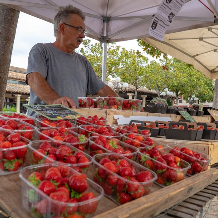 Les belles fraises de saison au marché de Tonneins