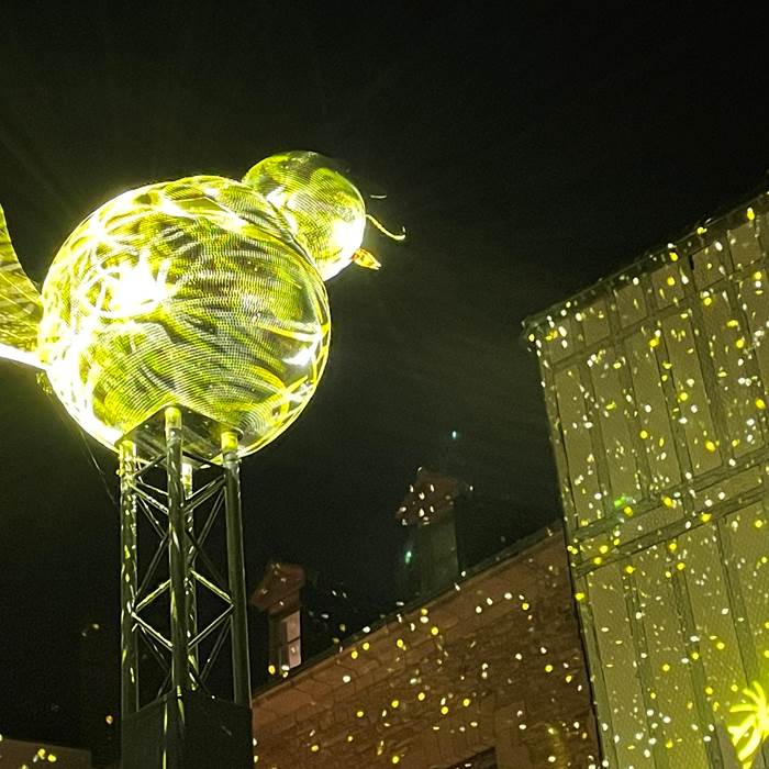 Sans titre-photo-news