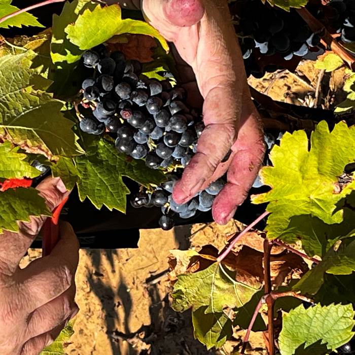 attention aux doigts !-photo-news