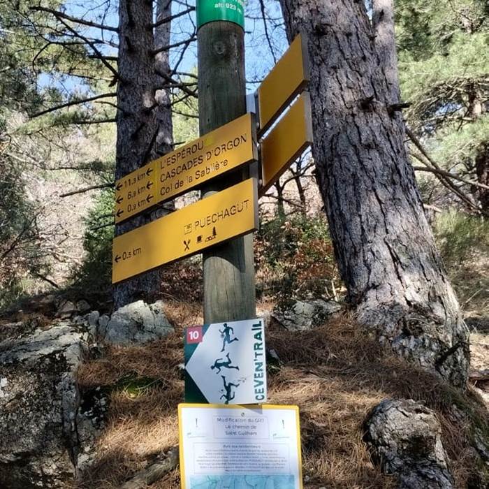 Chemin de St Guilhem