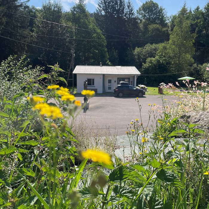 Le rockin70_Gîte Mountain_Déconnexion nature Vosges_Séjour nature Gérardmer_Gîte 8 personnes Vosges_Chalet forêt (40)