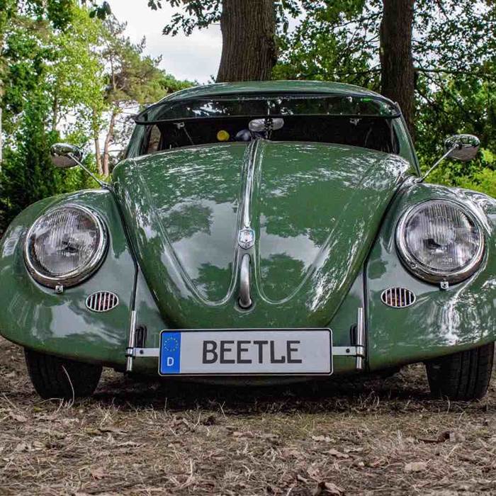 Une coccinelle à l'European Bug-In de Chimay