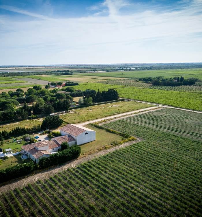 mas de l'étoile perdu au milieu de la Camargue Serenity