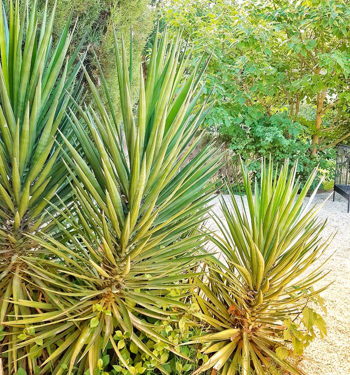 JARDIN PAYSAGER