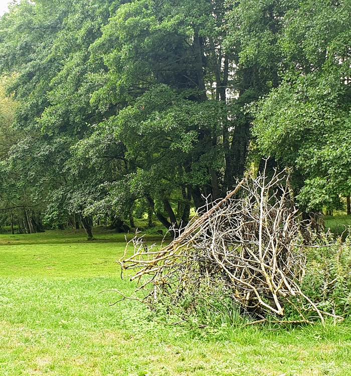 Parc de 9000m2