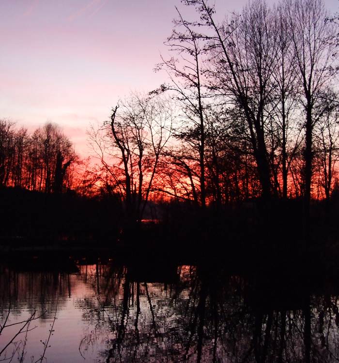 Photo 007