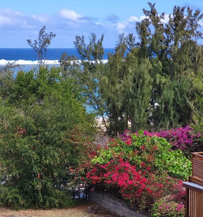 Vue de la terrasse sur la plage et sur le jardin