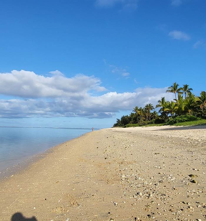 Locations de vacances plage de la Saline les bains