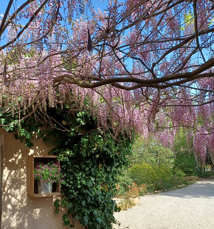 JARDIN PAYSAGER