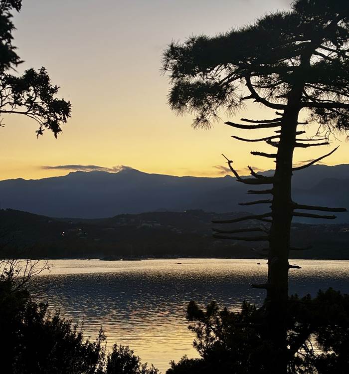 coucher-soleil-pinede-golfe-porto-vecchio