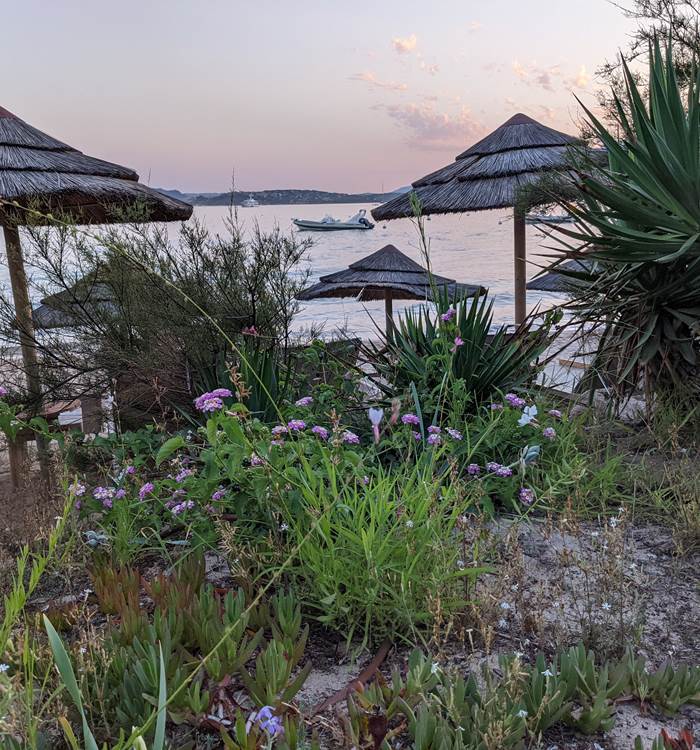 terrasse-casadelmarplage-benedettu-coucher-soleil