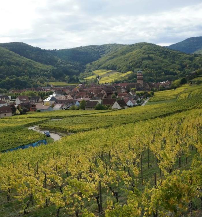 vin alsace les ambrades