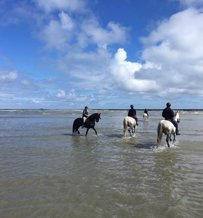 Traversée de la Baie de St-Brieuc : au loin, les bouchots