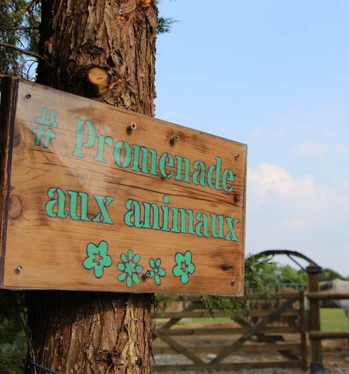 gite_de_groupe_sarthe_campagne_ballade_animaux_hameau_des_deux_ailes