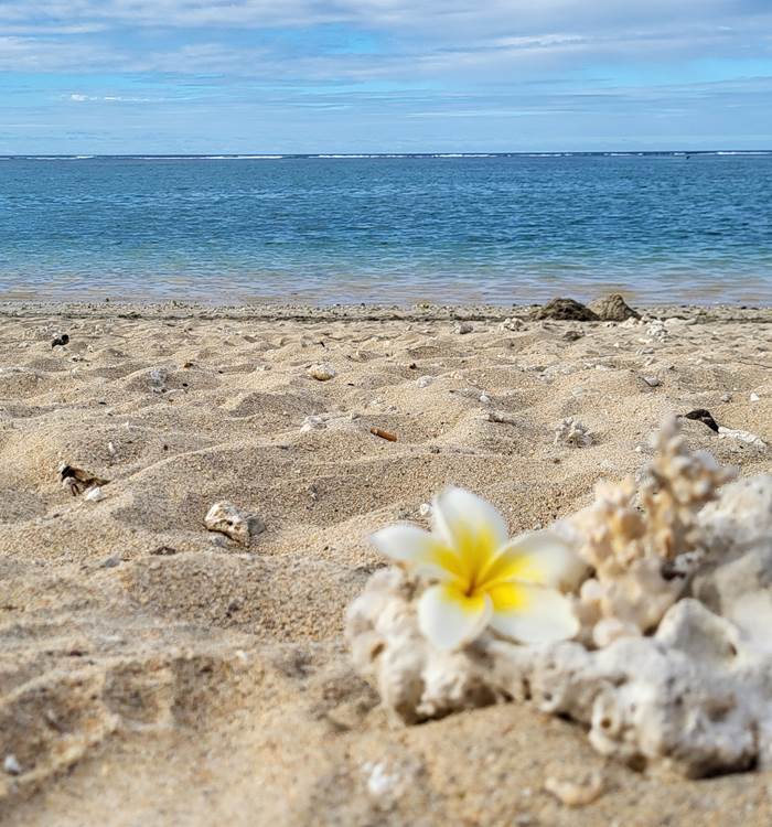 Locations de vacances à la Réunion