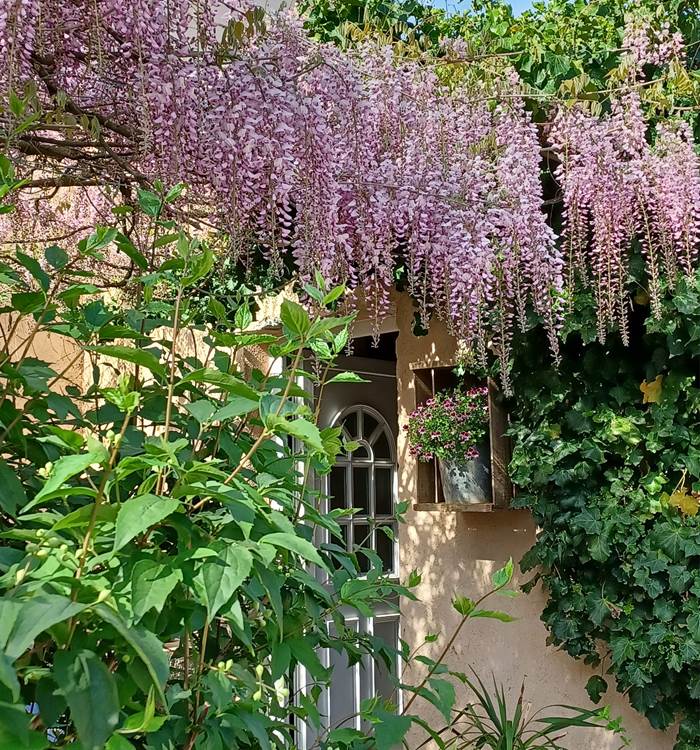 JARDIN PAYSAGER