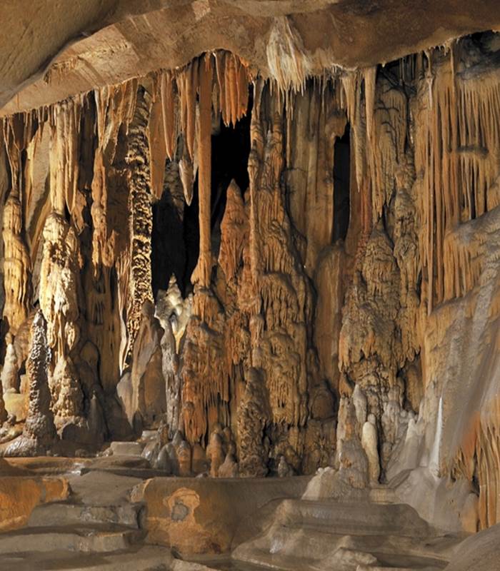 Sans-titre-96-img-around