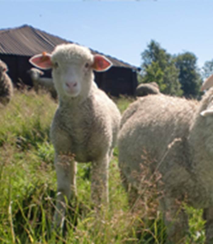 ANX-01-097N-00A8-img-around