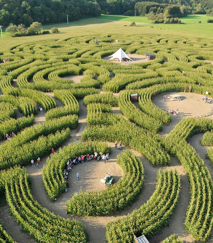 Le labyrinthe - Barvaux sur Ourhe-img-around