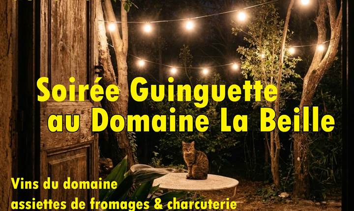 soirée guinguette
