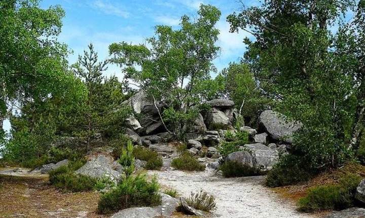 sentier en pleine nature