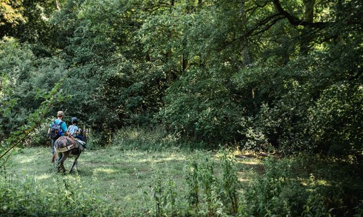 ane-bivouac-hermeton2