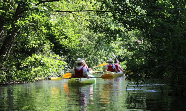 visite guidee en canoe sur l'Ancre