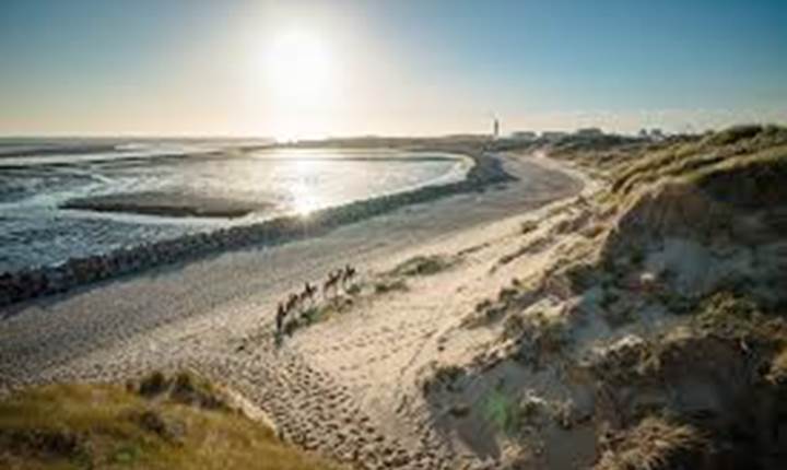 Baie des phoques - Location de vélos Berck -