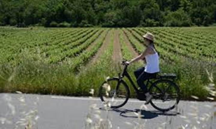 velo