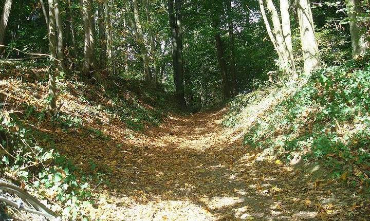 sortie nature sur le circuit pedestre le val d'omignon