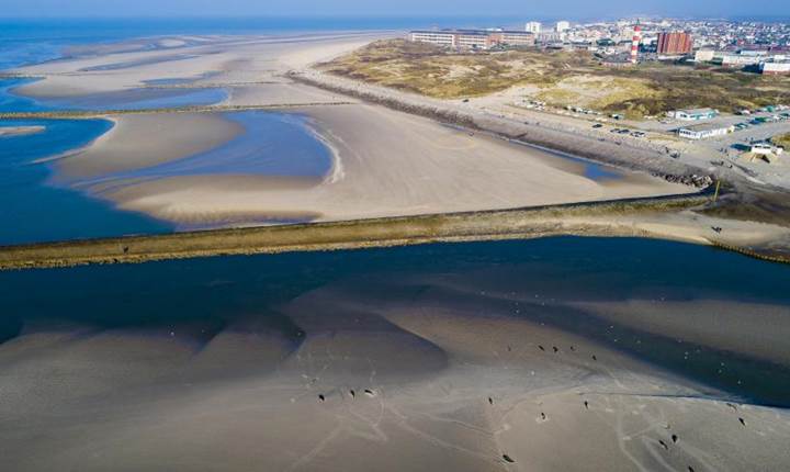 Location de velos Berck-Plage Phoques