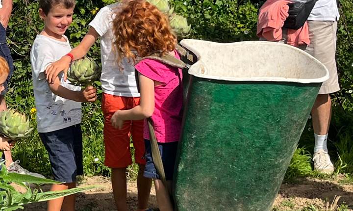 Ferme à visiter en famille près de Morlaix