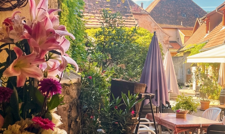 Découverte gourmande