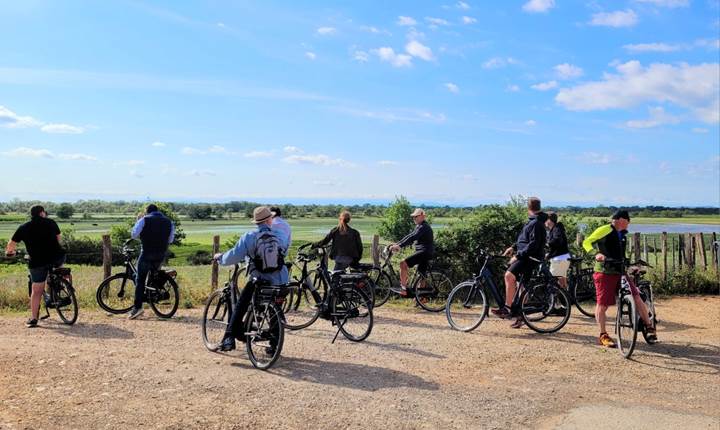 Balade a` ve´lo en Camargue - De´couverte de la nature et des marais