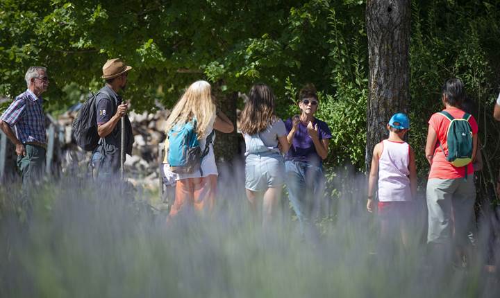 D4V_2020.07.13_Visite_05
