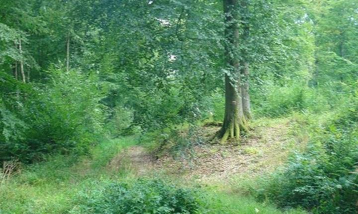Caulaincourt Trefcon Tertry Cauvigny
