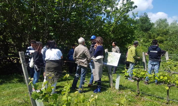 VISITE VIGNE